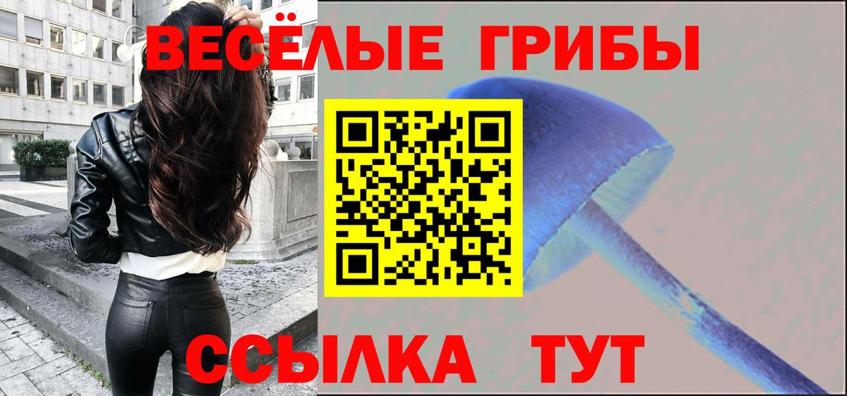 Псилоцибиновые грибы Psilocybine cubensis  Вход с VPN  Отрадный 