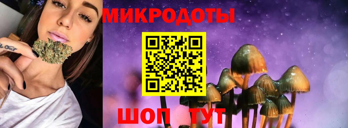 Галлюциногенные грибы мицелий Отрадный